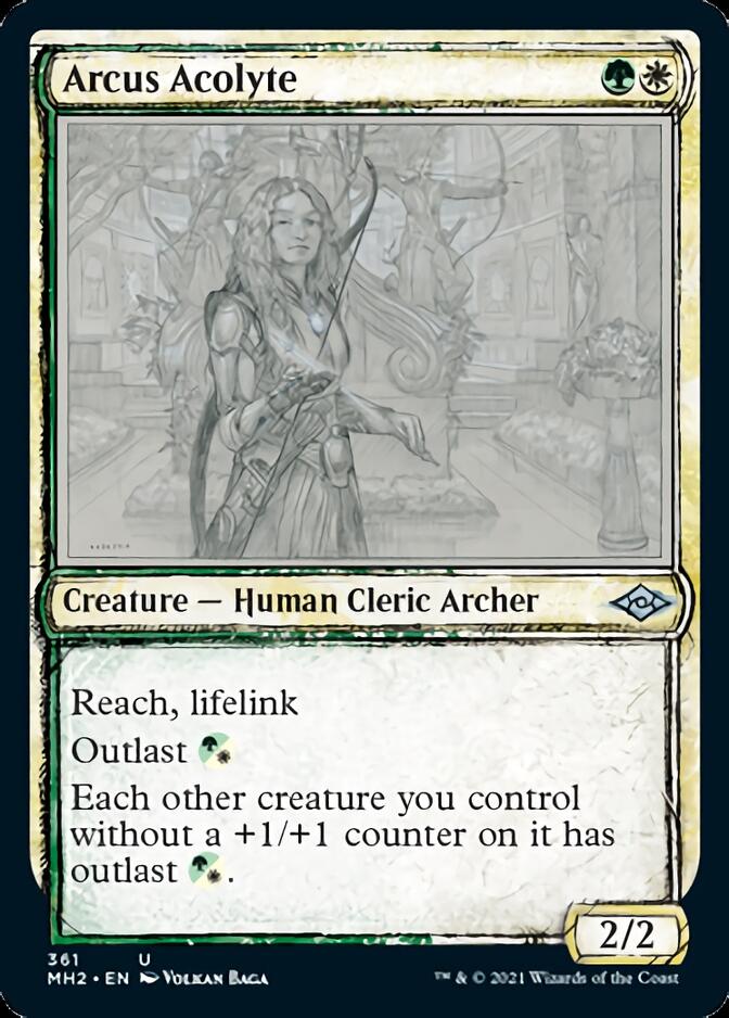 Arcus Acolyte (Sketch) [Modern Horizons 2] | Cards and Coasters CA