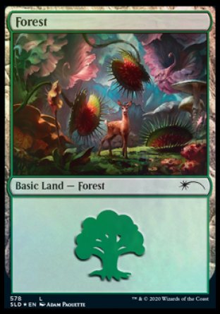 Forest (Predatory) (578) [Secret Lair Drop Promos] | Cards and Coasters CA