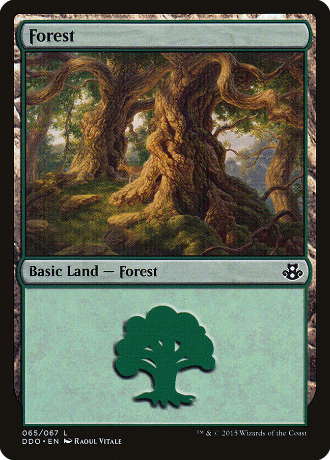 Forest (65) [Duel Decks: Elspeth vs. Kiora] | Cards and Coasters CA