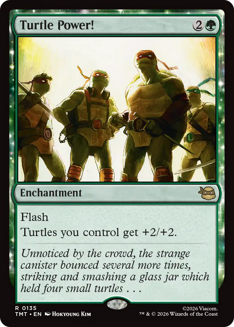 Turtle Power! [Teenage Mutant Ninja Turtles] | Cards and Coasters CA
