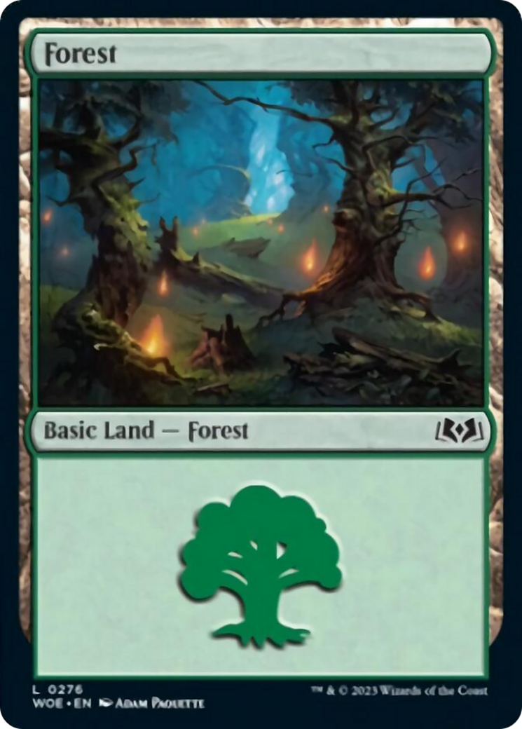 Forest (0276) [Wilds of Eldraine] | Cards and Coasters CA