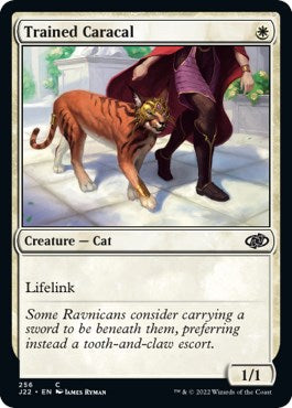 Trained Caracal [Jumpstart 2022] | Cards and Coasters CA