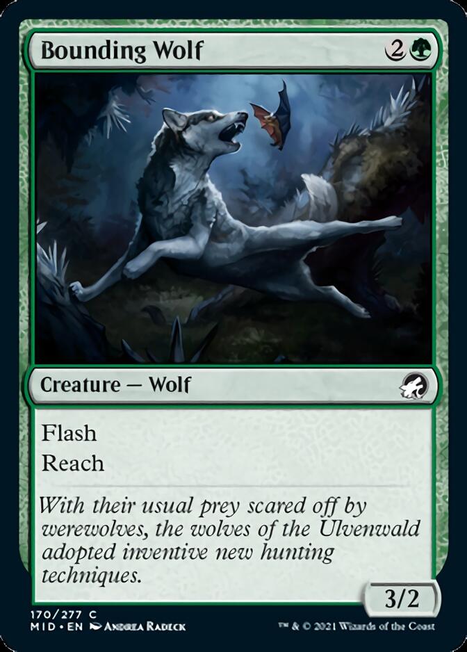 Bounding Wolf [Innistrad: Midnight Hunt] | Cards and Coasters CA