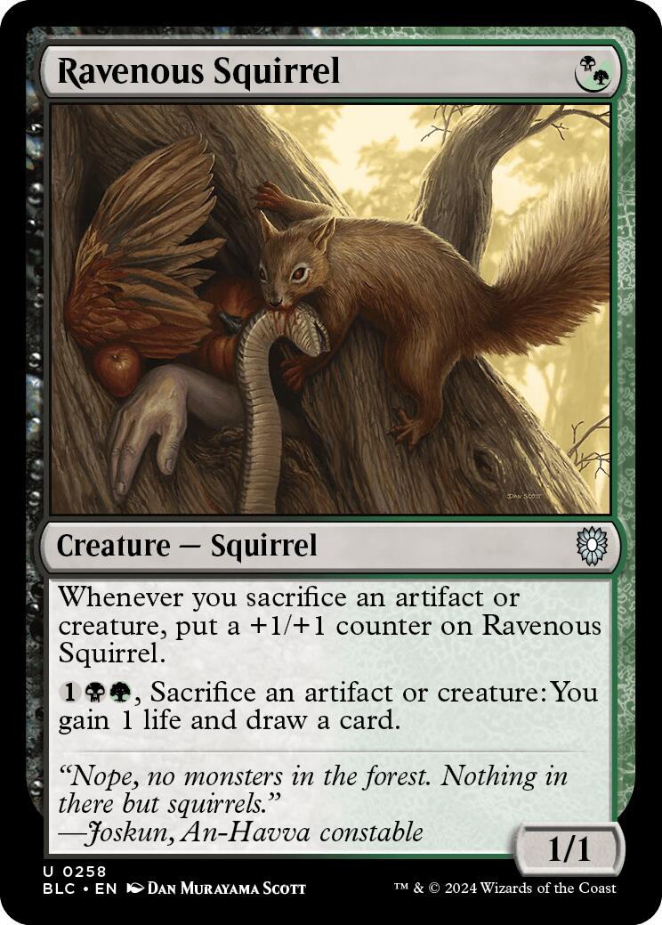 Ravenous Squirrel [Bloomburrow Commander] | Cards and Coasters CA