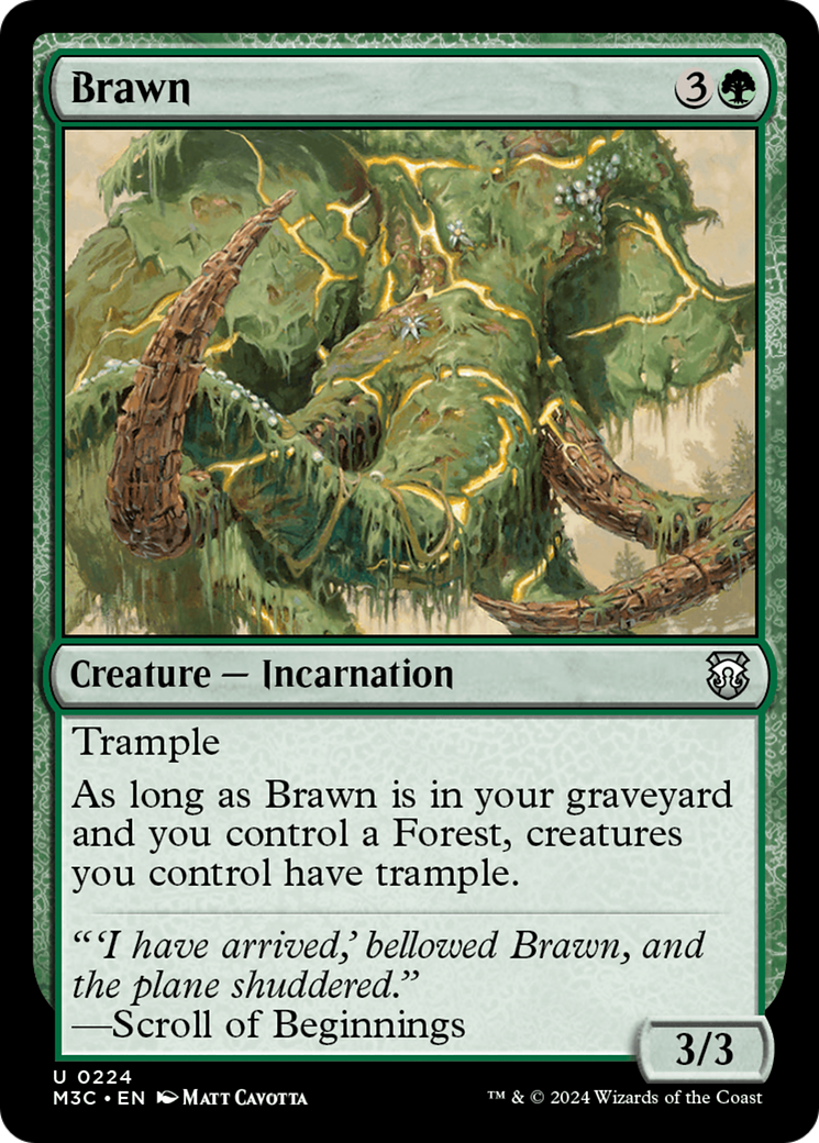 Brawn [Modern Horizons 3 Commander] | Cards and Coasters CA