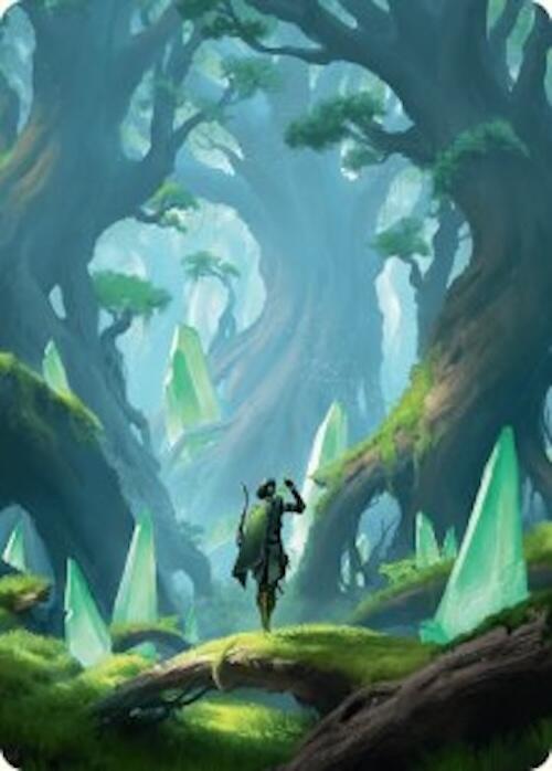 Forest Art Card (25/54) [Foundations Art Series] | Cards and Coasters CA