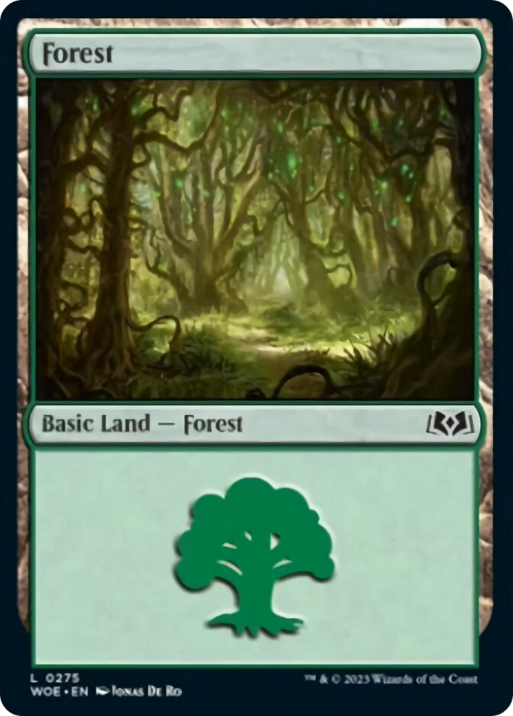 Forest (0275) [Wilds of Eldraine] | Cards and Coasters CA