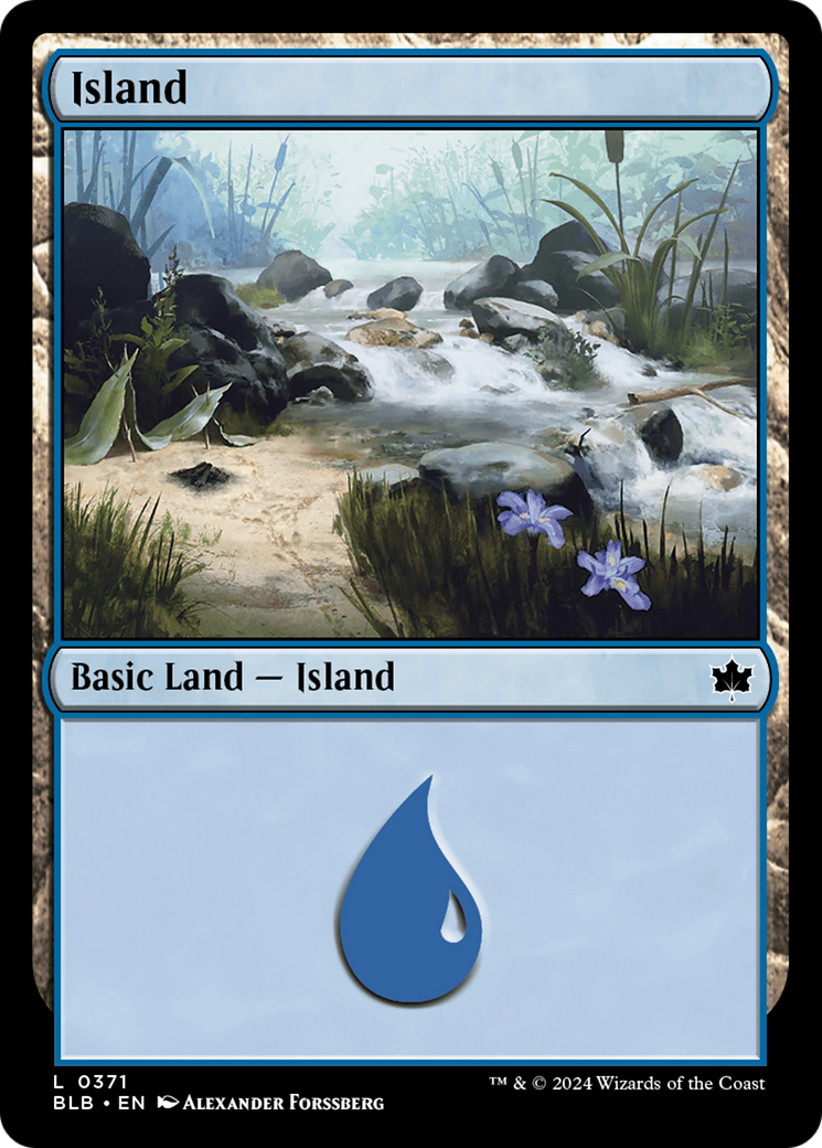 Island (0371) [Bloomburrow] | Cards and Coasters CA