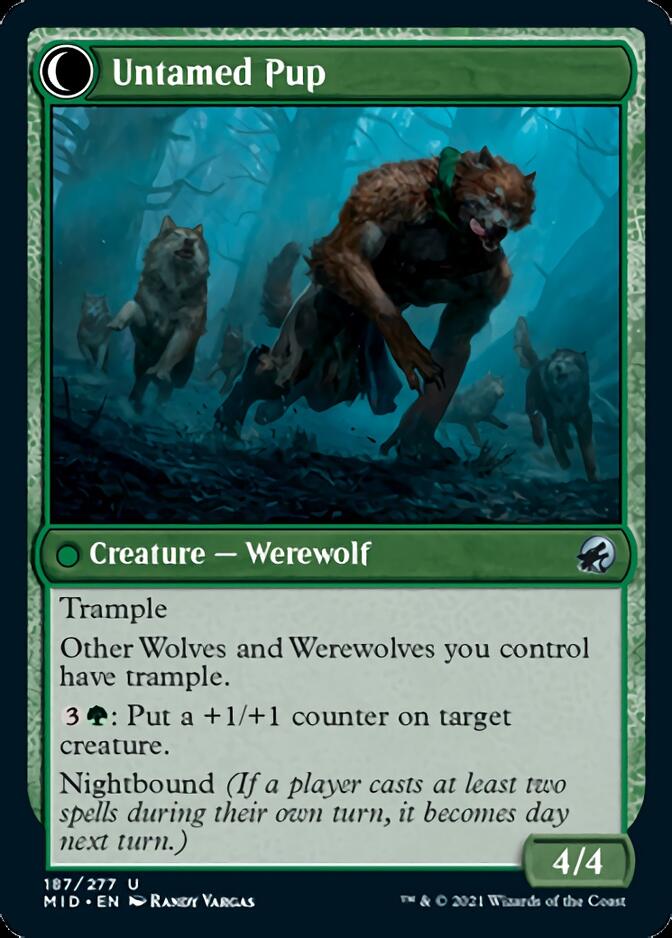 Hound Tamer // Untamed Pup [Innistrad: Midnight Hunt] | Cards and Coasters CA