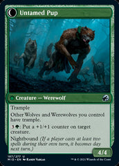 Hound Tamer // Untamed Pup [Innistrad: Midnight Hunt] | Cards and Coasters CA