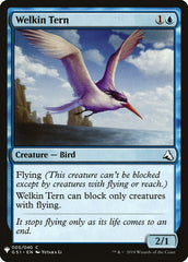 Welkin Tern [Mystery Booster] | Cards and Coasters CA