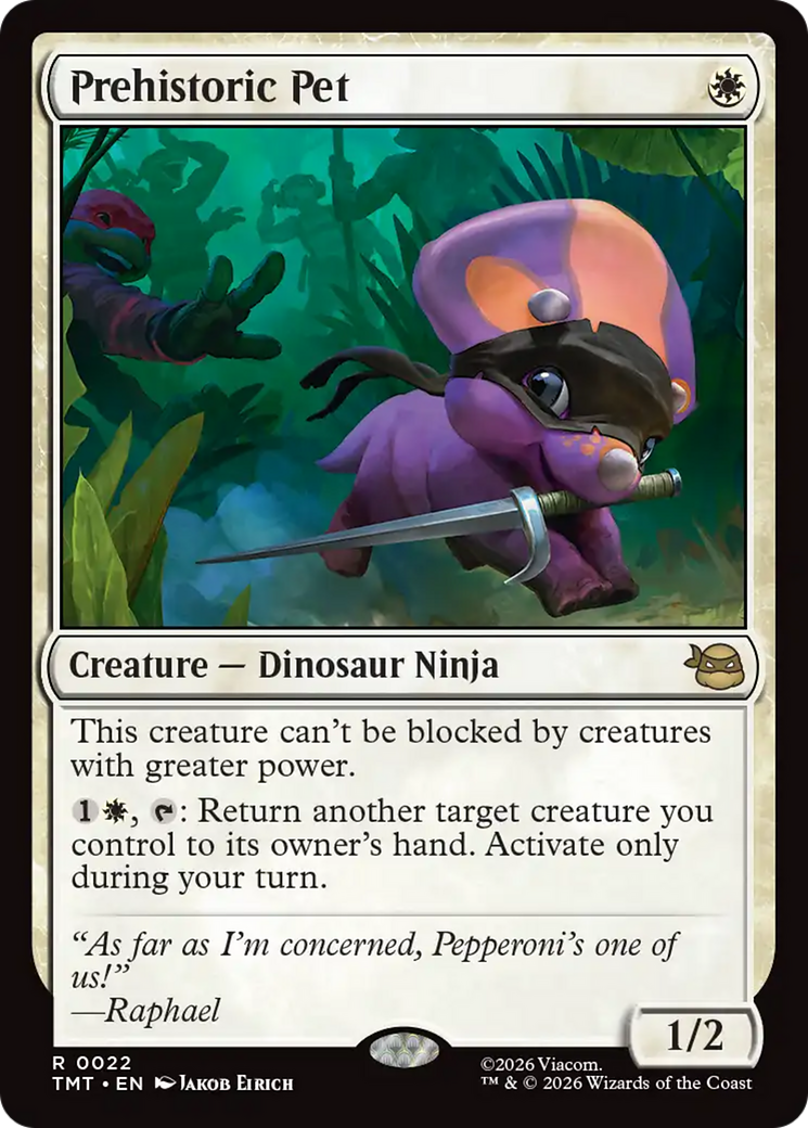 Prehistoric Pet [Teenage Mutant Ninja Turtles] | Cards and Coasters CA
