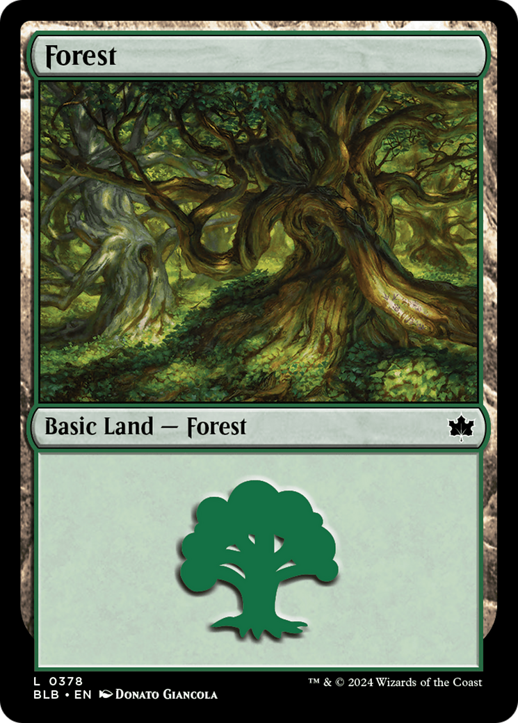 Forest (0378) [Bloomburrow] | Cards and Coasters CA