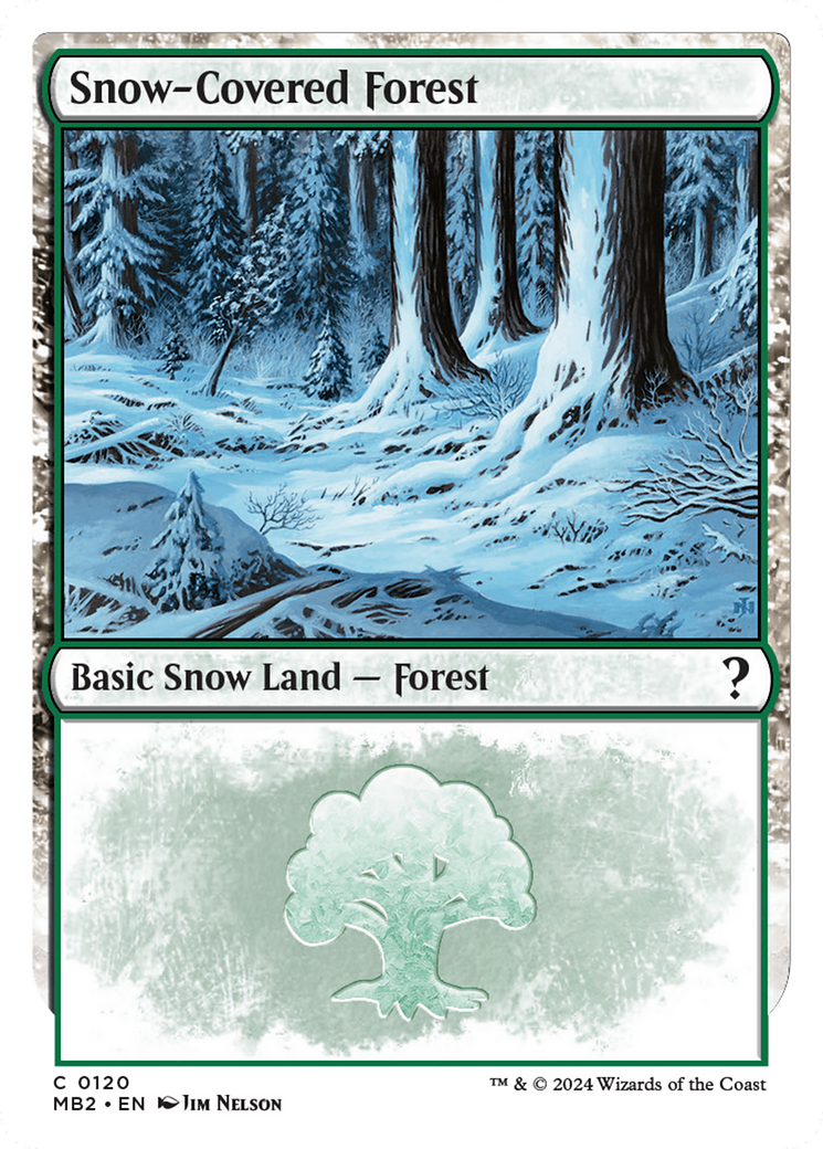 Snow-Covered Forest (White Border) [Mystery Booster 2] | Cards and Coasters CA