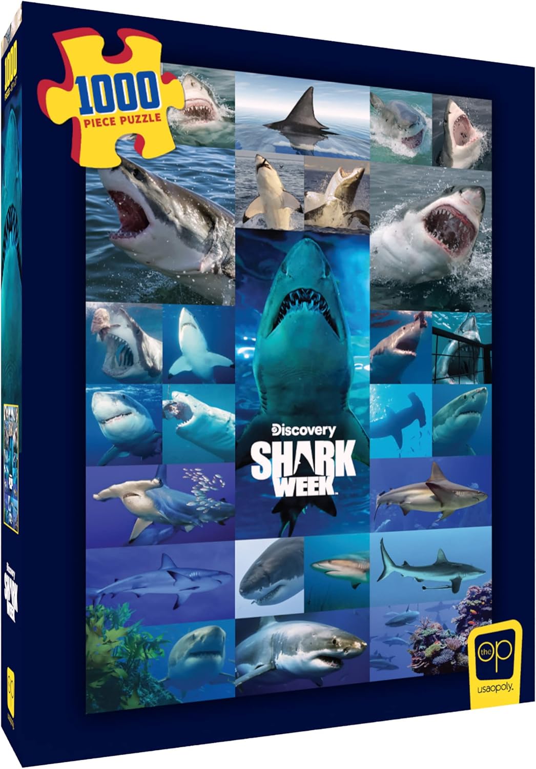 Sharkweek Puzzle | Cards and Coasters CA