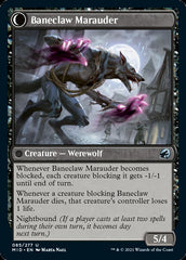 Baneblade Scoundrel // Baneclaw Marauder [Innistrad: Midnight Hunt] | Cards and Coasters CA