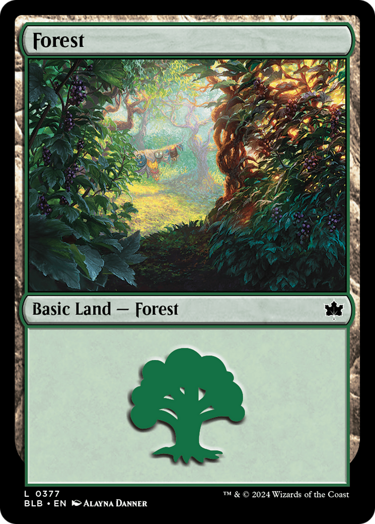 Forest (0377) [Bloomburrow] | Cards and Coasters CA