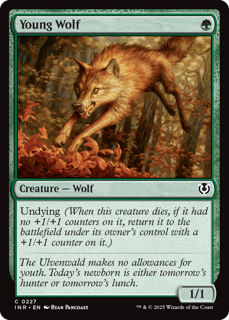 Young Wolf [Innistrad Remastered] | Cards and Coasters CA