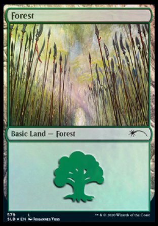 Forest (Elves) (579) [Secret Lair Drop Promos] | Cards and Coasters CA