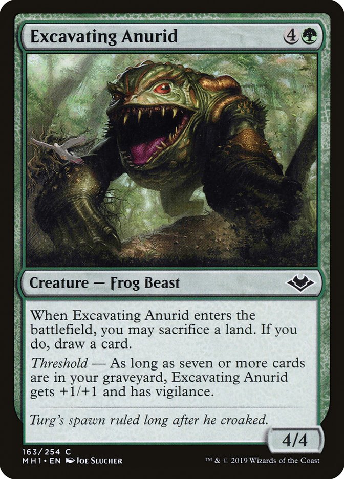 Excavating Anurid [Modern Horizons] | Cards and Coasters CA