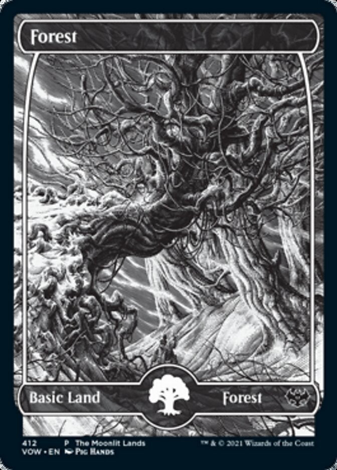 Forest (The Moonlit Lands) (Foil Etched) [Innistrad: Crimson Vow Promos] | Cards and Coasters CA