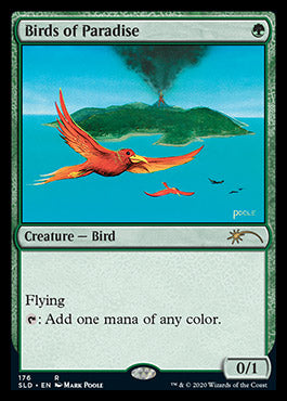 Birds of Paradise (176) [Secret Lair Drop Series] | Cards and Coasters CA