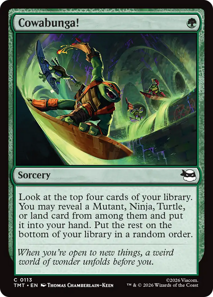 Cowabunga! [Teenage Mutant Ninja Turtles] | Cards and Coasters CA
