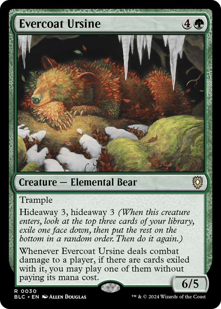 Evercoat Ursine [Bloomburrow Commander] | Cards and Coasters CA