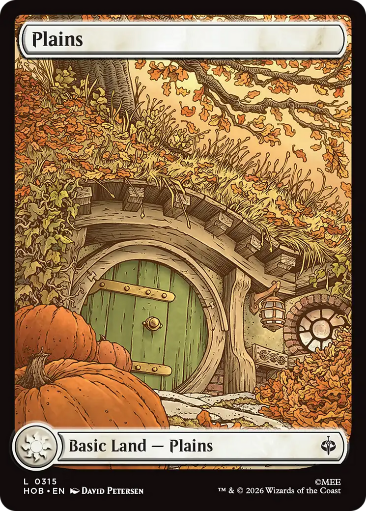 Plains (0315) [The Hobbit] | Cards and Coasters CA