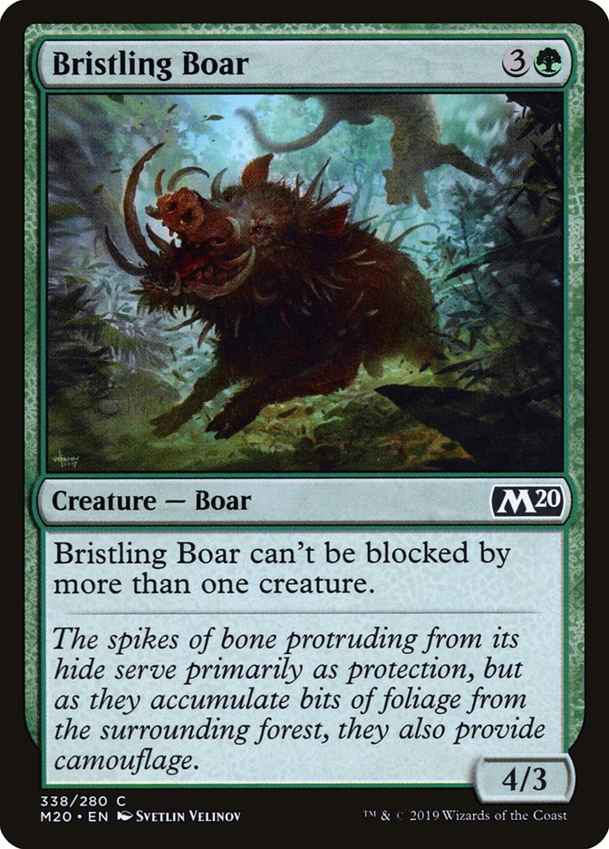 Bristling Boar [Core Set 2020] | Cards and Coasters CA