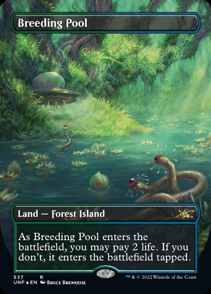 Breeding Pool (Borderless) (Galaxy Foil) [Unfinity] | Cards and Coasters CA