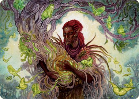 Circle of Dreams Druid Art Card [Dungeons & Dragons: Adventures in the Forgotten Realms Art Series] | Cards and Coasters CA