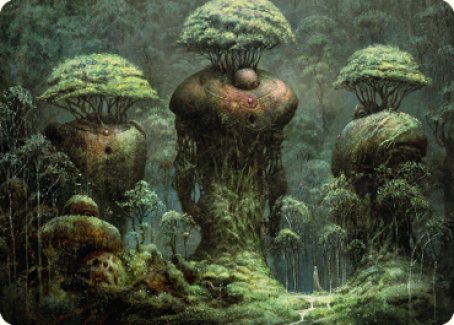 Forest Art Card [Dominaria United Art Series] | Cards and Coasters CA