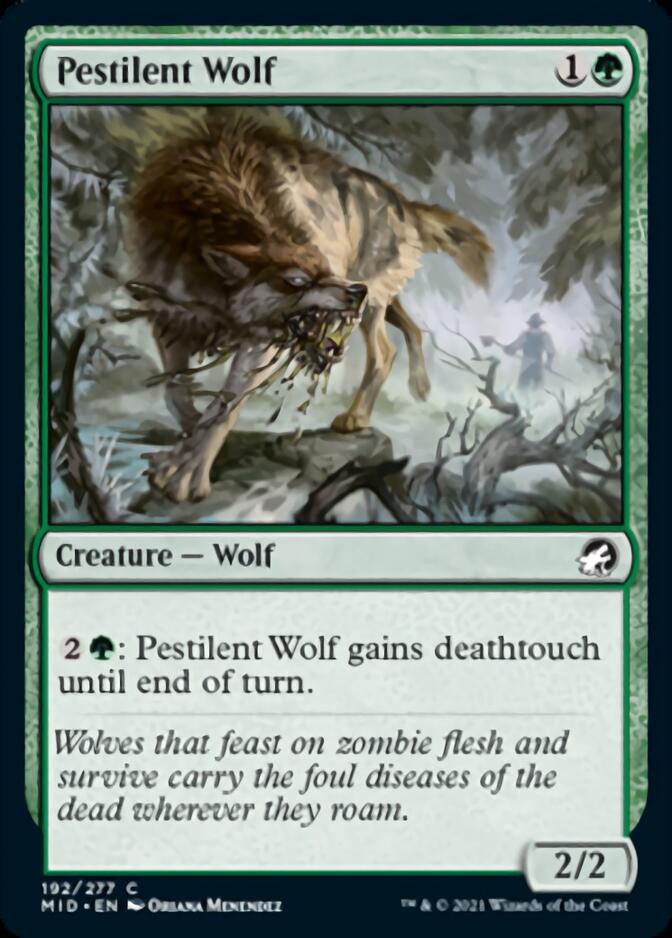 Pestilent Wolf [Innistrad: Midnight Hunt] | Cards and Coasters CA