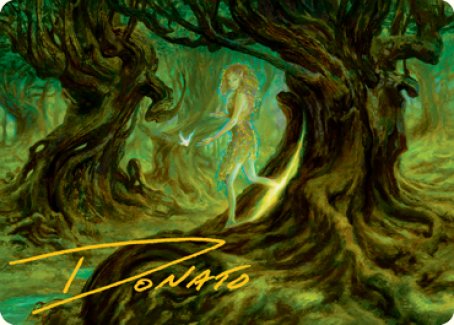 Neverwinter Dryad Art Card (Gold-Stamped Signature) [Dungeons & Dragons: Adventures in the Forgotten Realms Art Series] | Cards and Coasters CA