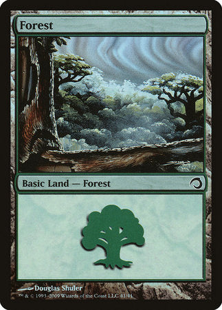 Forest (41) [Premium Deck Series: Slivers] | Cards and Coasters CA