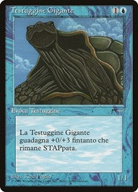 Giant Tortoise (Italian) - "Testuggine Gigante" [Renaissance] | Cards and Coasters CA