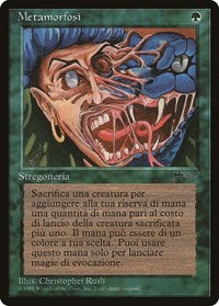 Metamorphosis (Italian) - "Metamorfosi" [Renaissance] | Cards and Coasters CA
