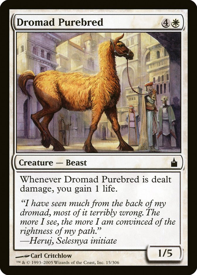 Dromad Purebred [Ravnica: City of Guilds] | Cards and Coasters CA