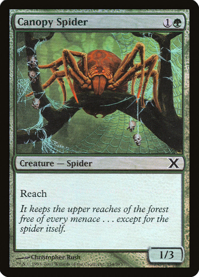 Canopy Spider (Premium Foil) [Tenth Edition] | Cards and Coasters CA