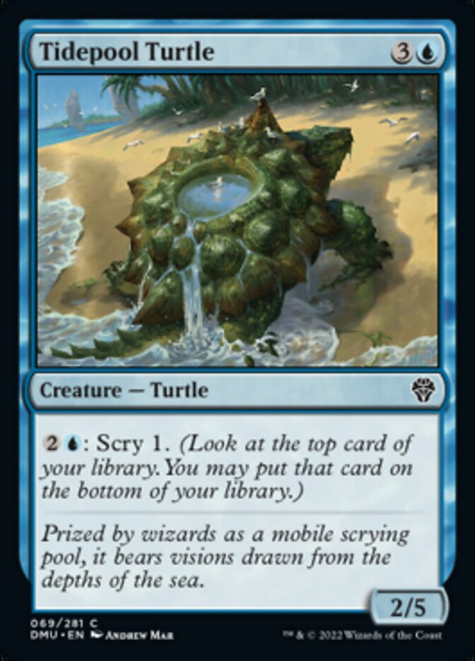 Tidepool Turtle [Dominaria United] | Cards and Coasters CA