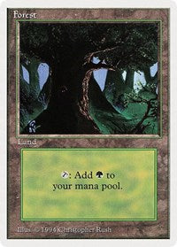 Forest (C) [Summer Magic] | Cards and Coasters CA
