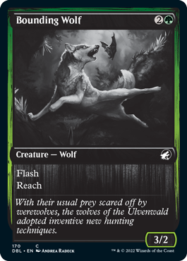 Bounding Wolf [Innistrad: Double Feature] | Cards and Coasters CA