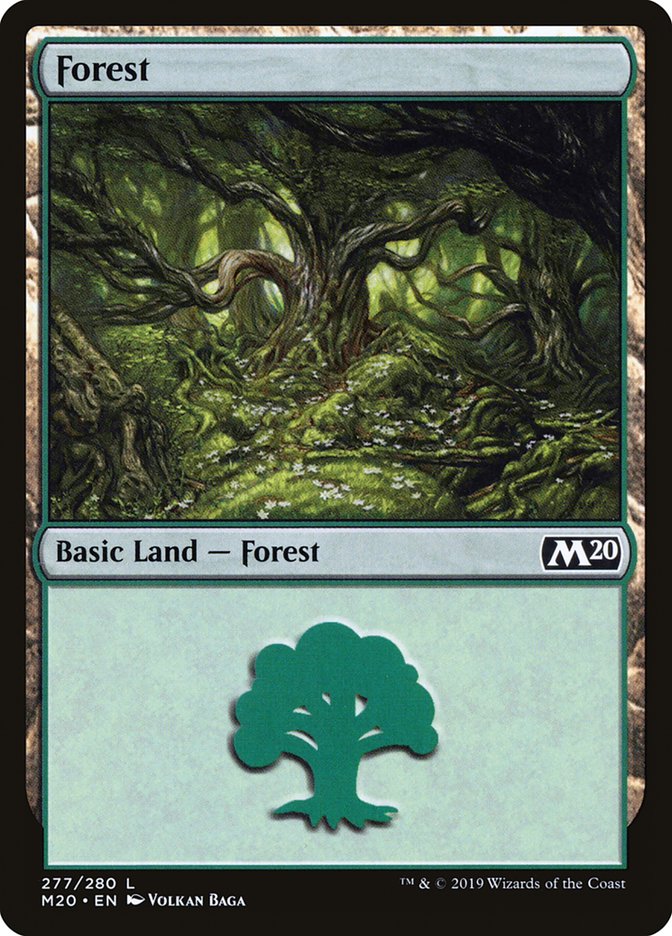 Forest (#277) [Core Set 2020] | Cards and Coasters CA