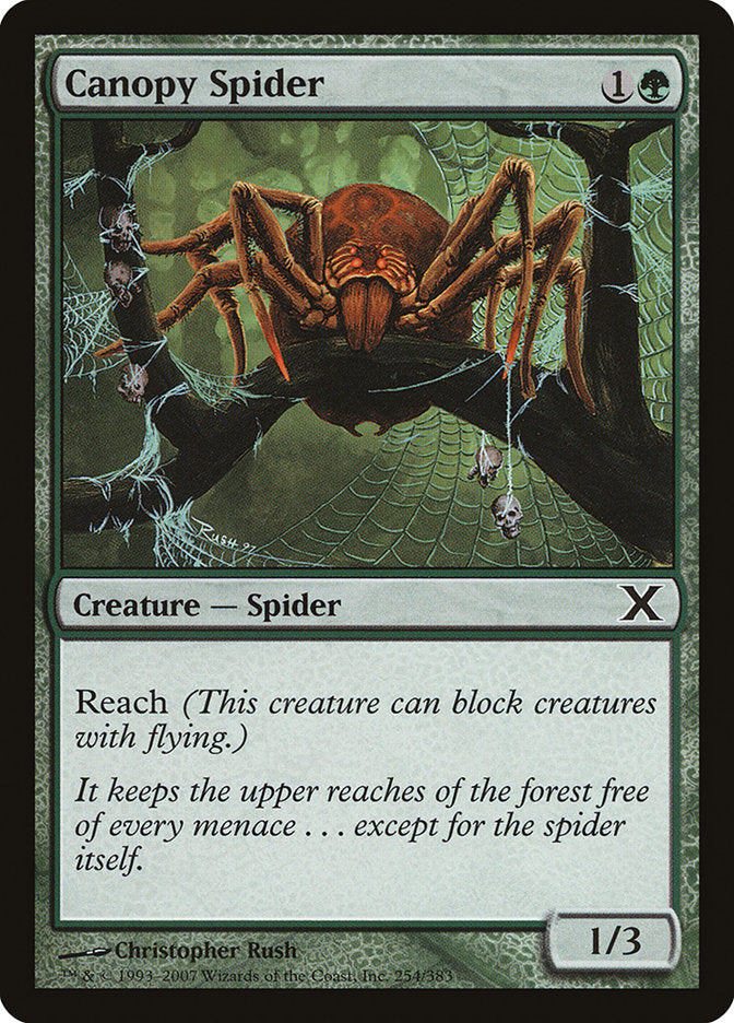 Canopy Spider [Tenth Edition] | Cards and Coasters CA