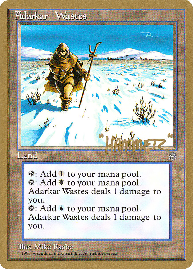 Adarkar Wastes (Shawn "Hammer" Regnier) [Pro Tour Collector Set] | Cards and Coasters CA