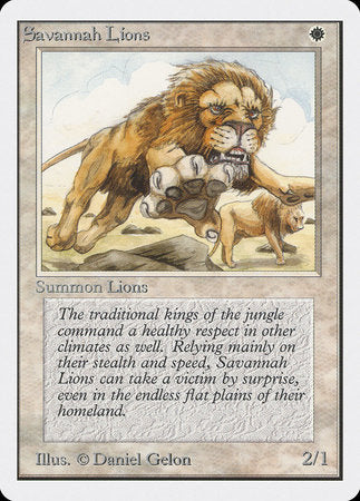 Savannah Lions [Unlimited Edition] | Cards and Coasters CA