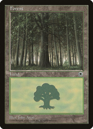 Forest (Large Middle) [Portal] | Cards and Coasters CA