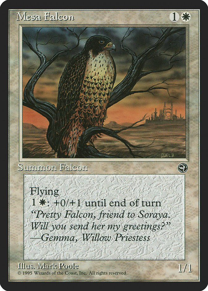 Mesa Falcon (Gemma Flavor Text) [Homelands] | Cards and Coasters CA