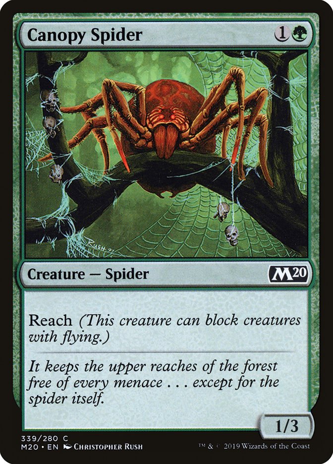 Canopy Spider [Core Set 2020] | Cards and Coasters CA